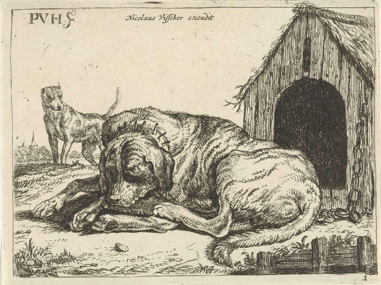 Chien couché enchaîné - Pauwels van Hillegaert