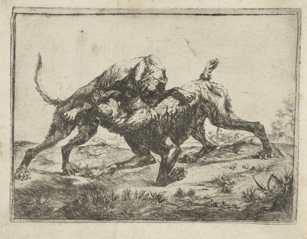 Chiens se battant - Pauwels van Hillegaert