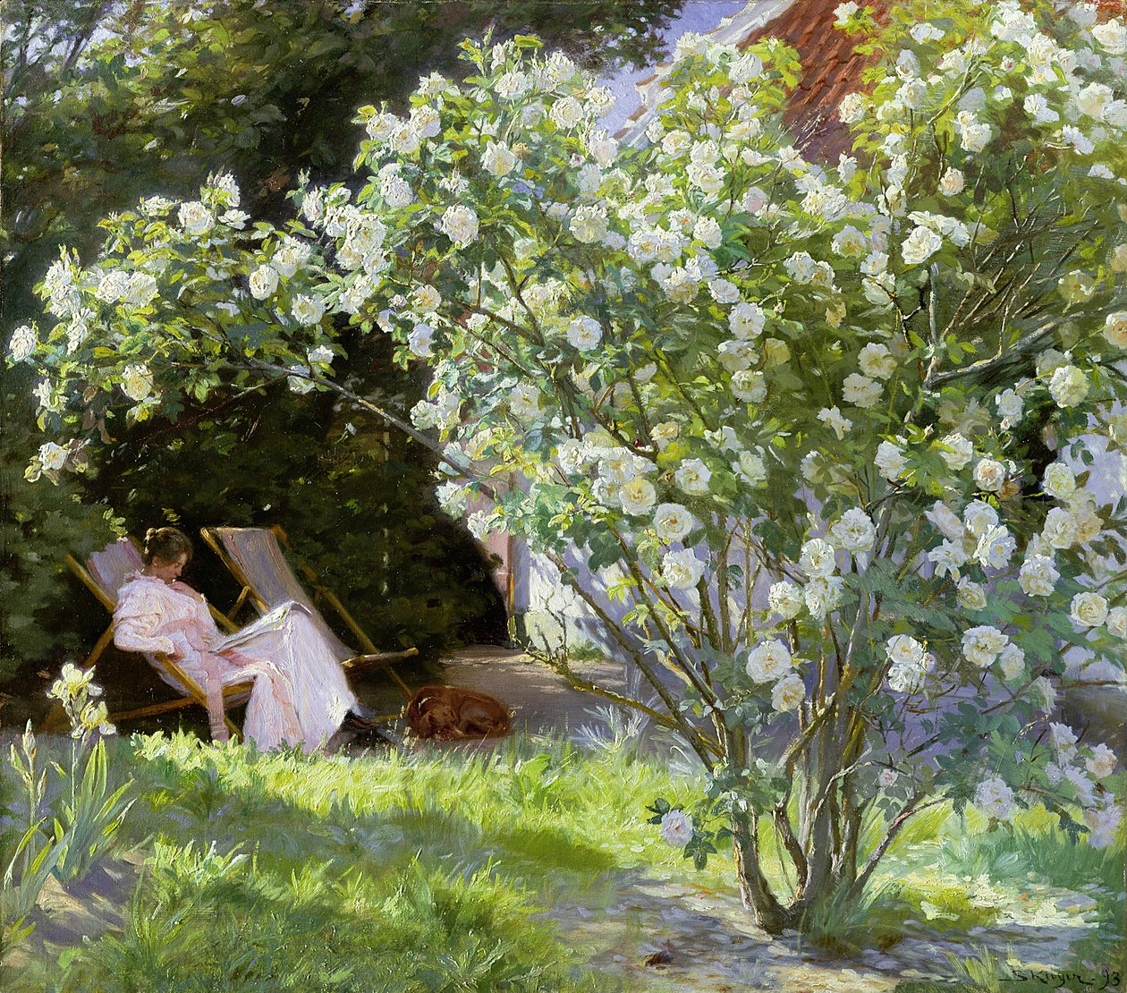 Roses, ou La femme de l