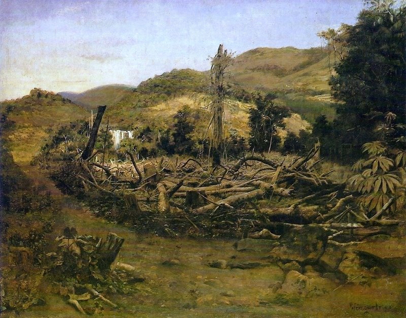 Abattage des arbres - Pedro Weingärtner