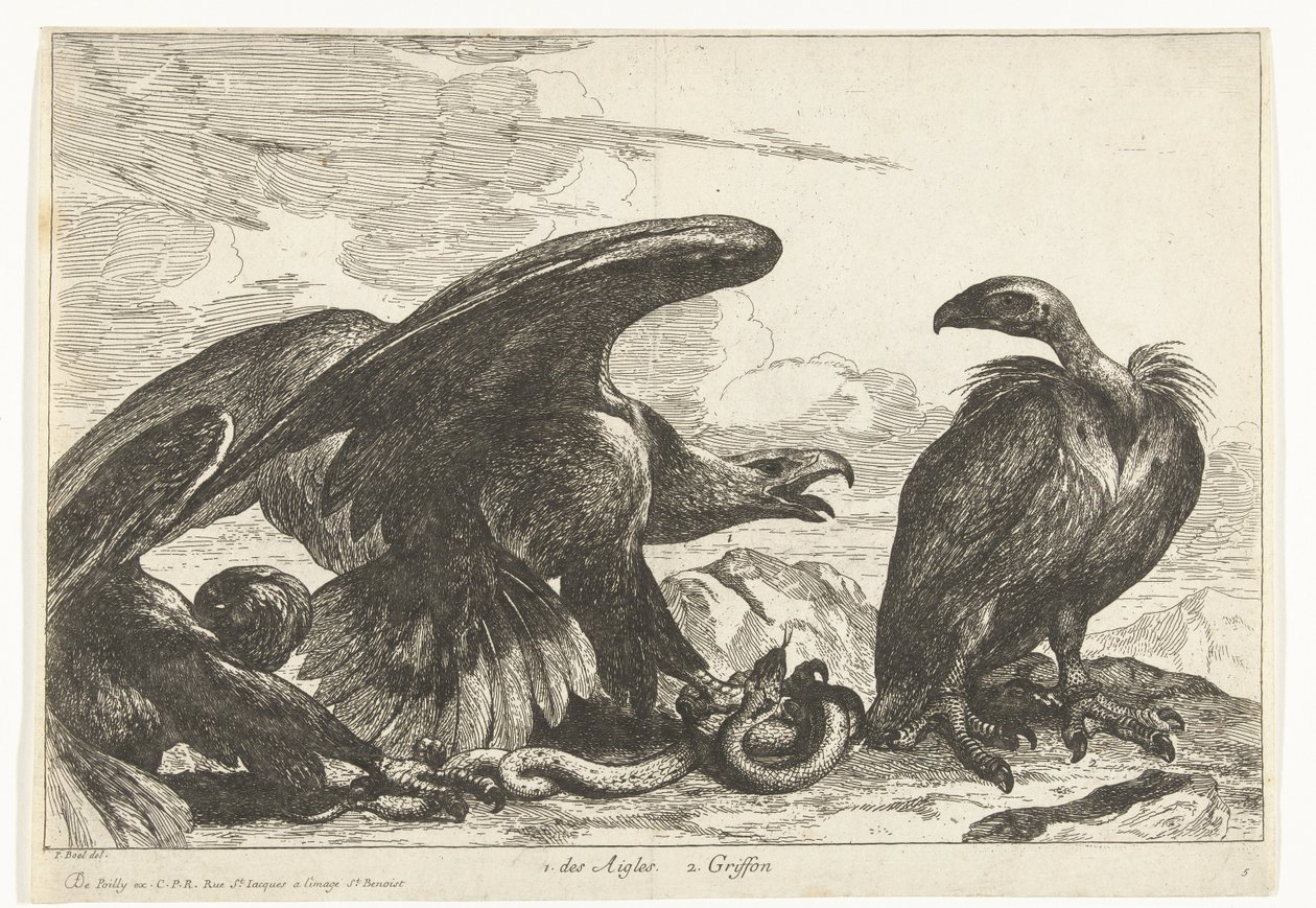 Vautour et aigle avec serpent - Peeter Boel (attributed to)