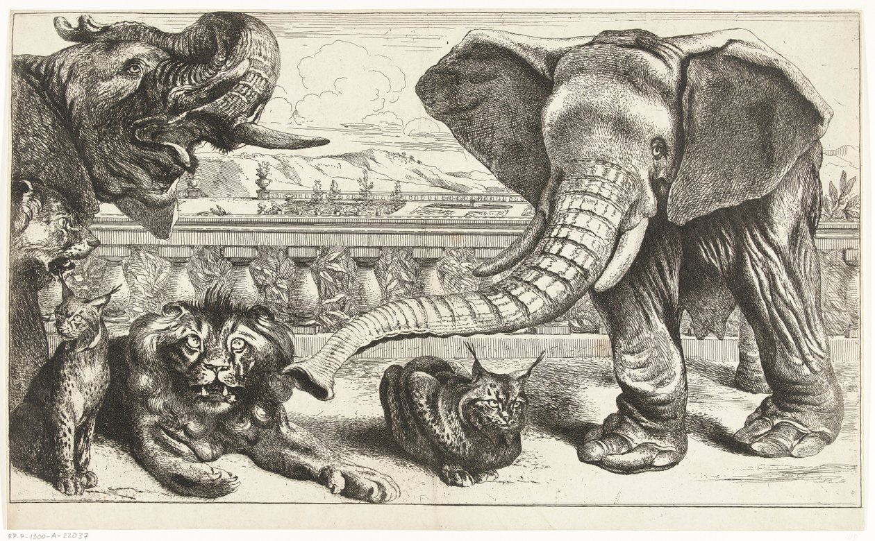 Éléphants, lions et lynx dans les jardins de Versailles - Peeter Boel (attributed to)