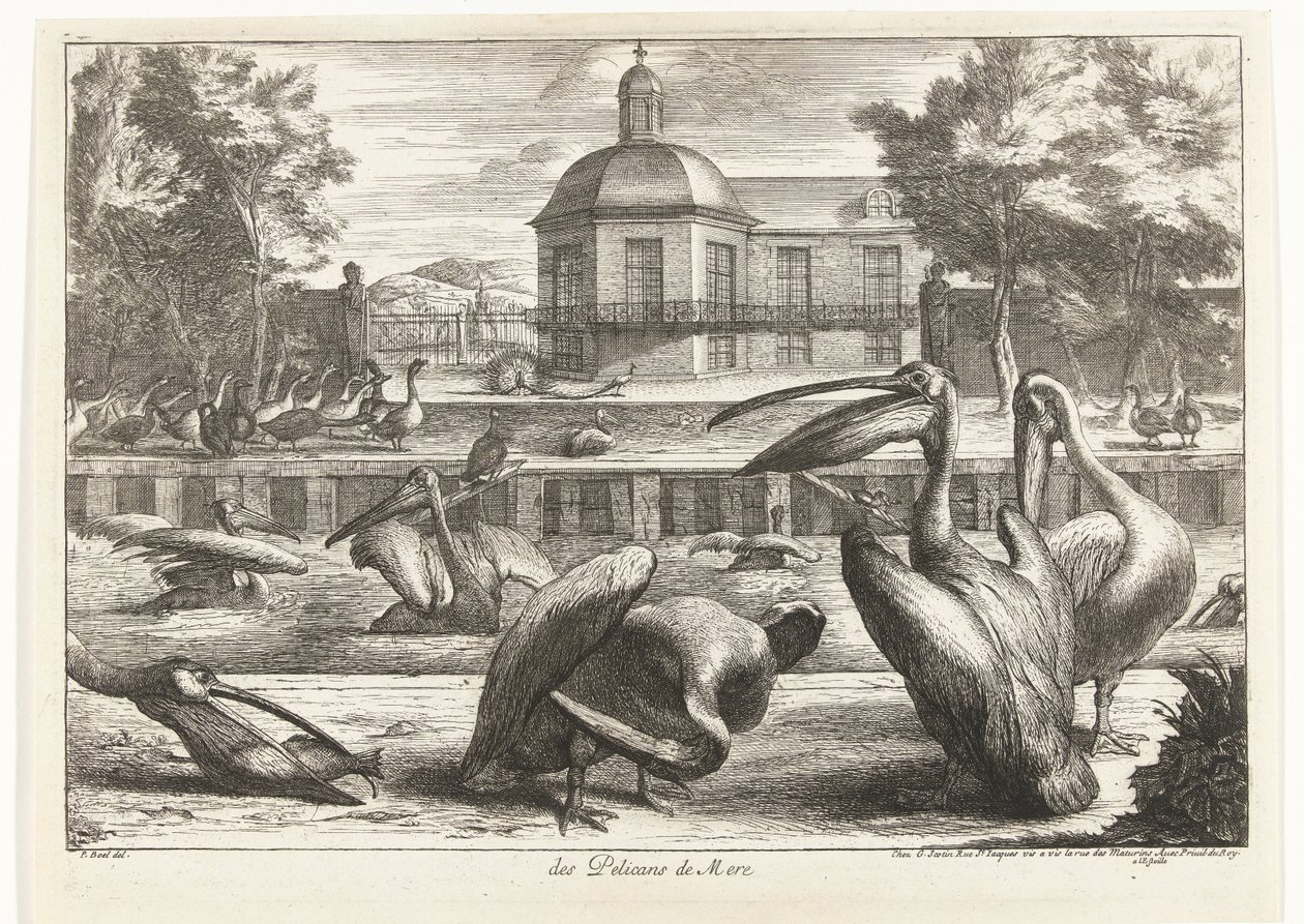 Pélicans - Peeter Boel (attributed to)