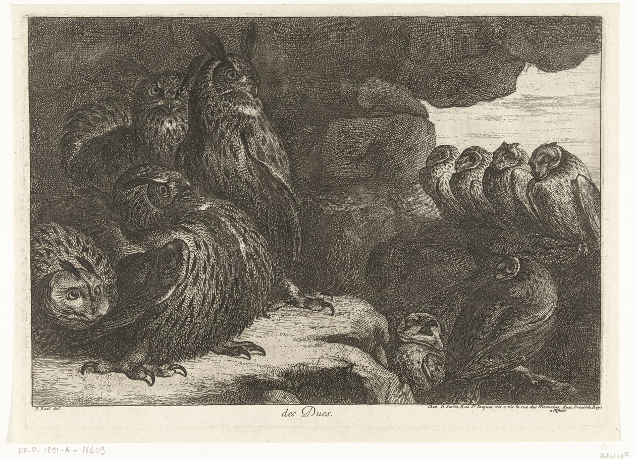 Chouettes dans une grotte (Vogels uit de menagerie van Versailles) - Peeter Boel (attributed to)