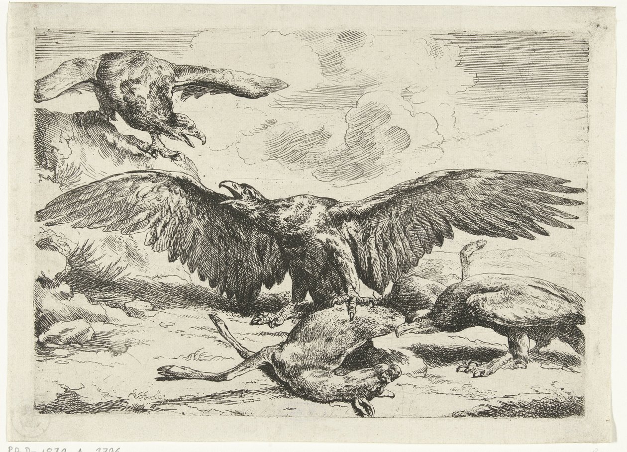 Trois aigles se battent pour un cerf mort Diversi uccelli (titre de la série) - Peeter Boel