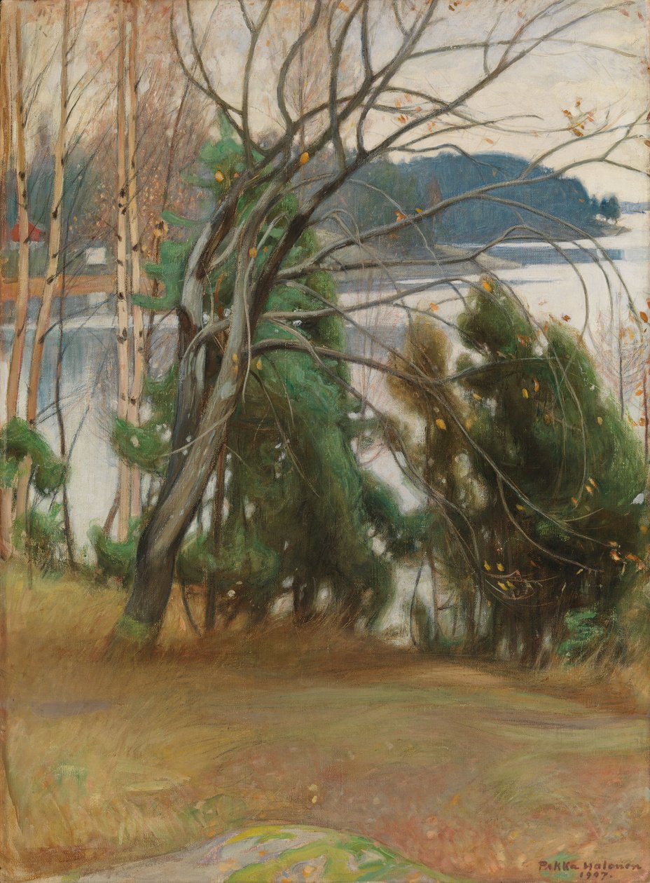 Saule marsault en automne - Pekka Halonen