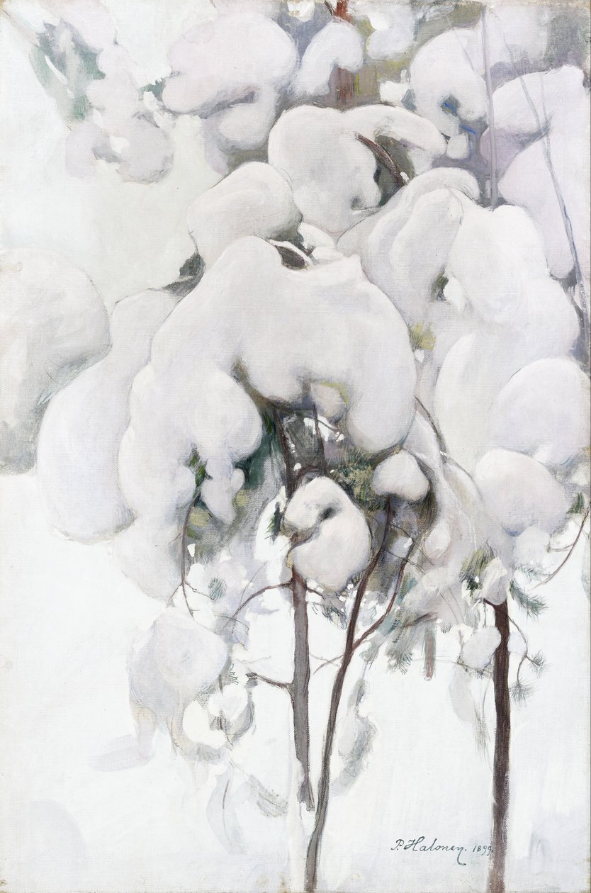 Jeunes pins couverts de neige - Pekka Halonen