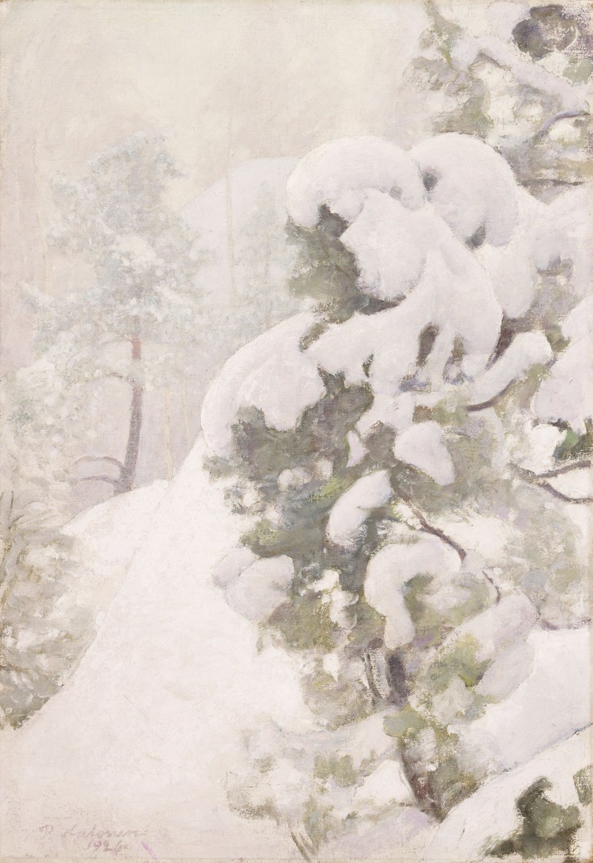 Paysage d
