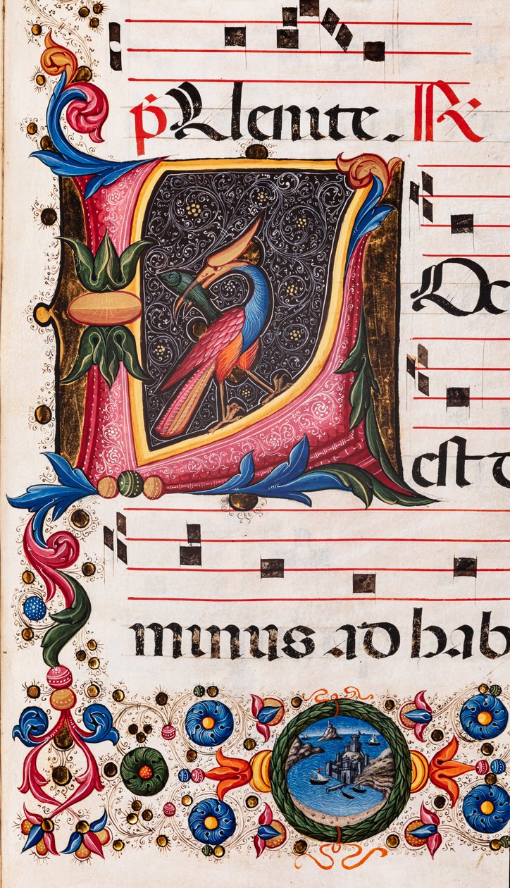 Bibliothèque Piccolomini : livre de chœur, cod. 5.E, ff. 63r avec « Initiale feuillagée » (détail) - Pellegrino di Mariano