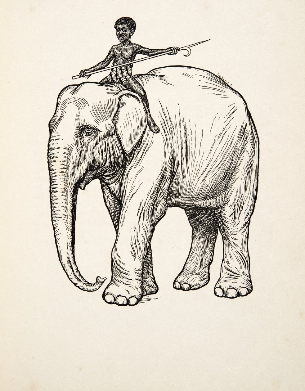 Remords, de A Hundred Anecdotes of Animals, pub. 1924 - Percy J. Billingshurst
