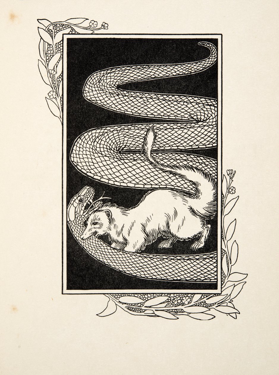 Destructeurs de serpents, de Cent anecdotes d
