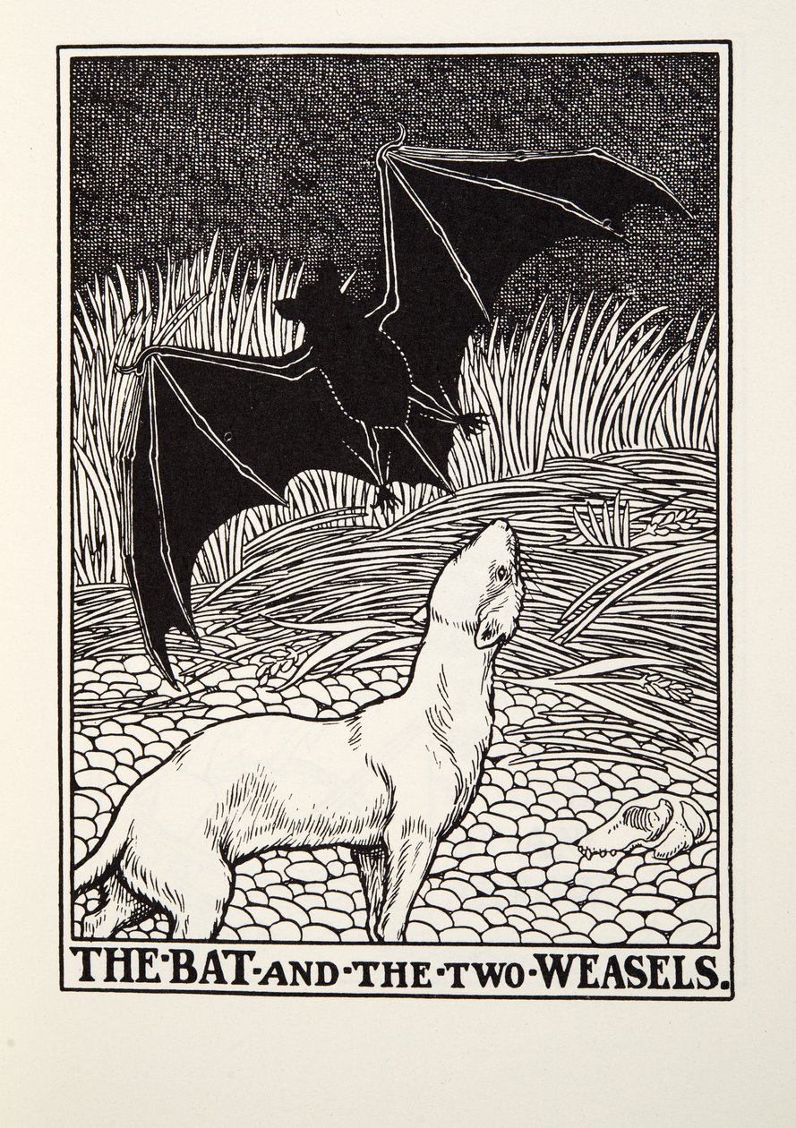 La Chauve-souris et les deux Belettes, des Fables de La Fontaine, pub. 1905 - Percy J. Billingshurst