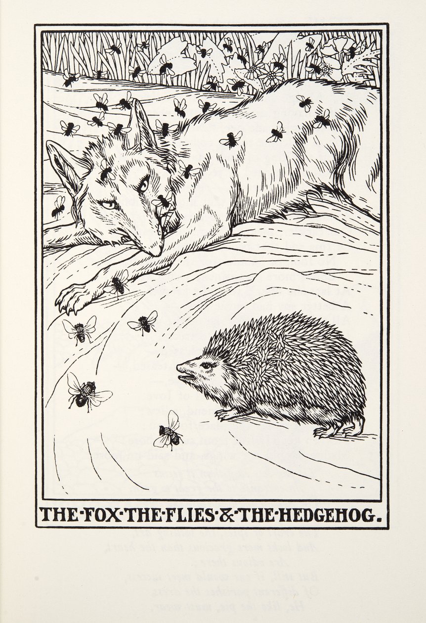Le Renard, les Mouches et le Hérisson, des Fables de Fontaine, pub. 1905 - Percy J. Billingshurst