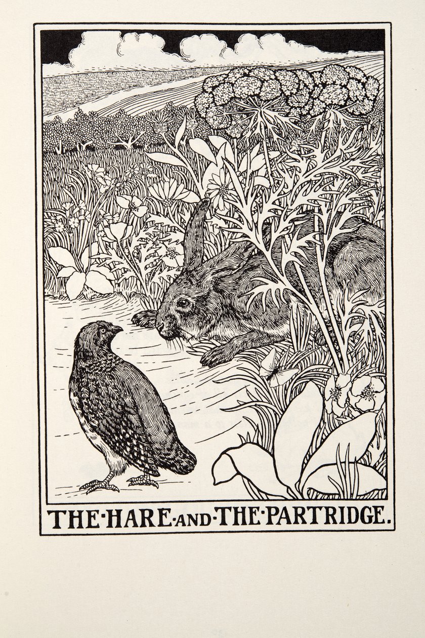 Le Lièvre et la Perdrix, des Fables de La Fontaine, pub. 1905 - Percy J. Billingshurst