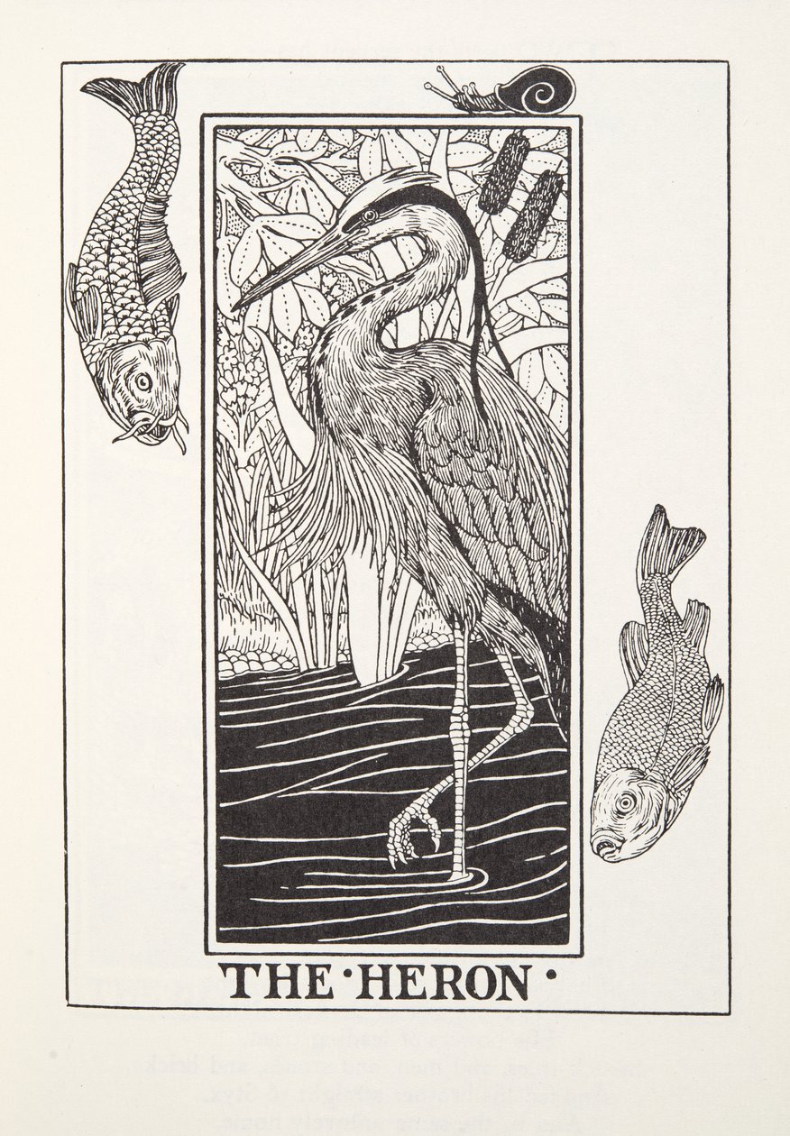 Le héron, des Fables de Fontaine, pub. 1905 - Percy J. Billingshurst