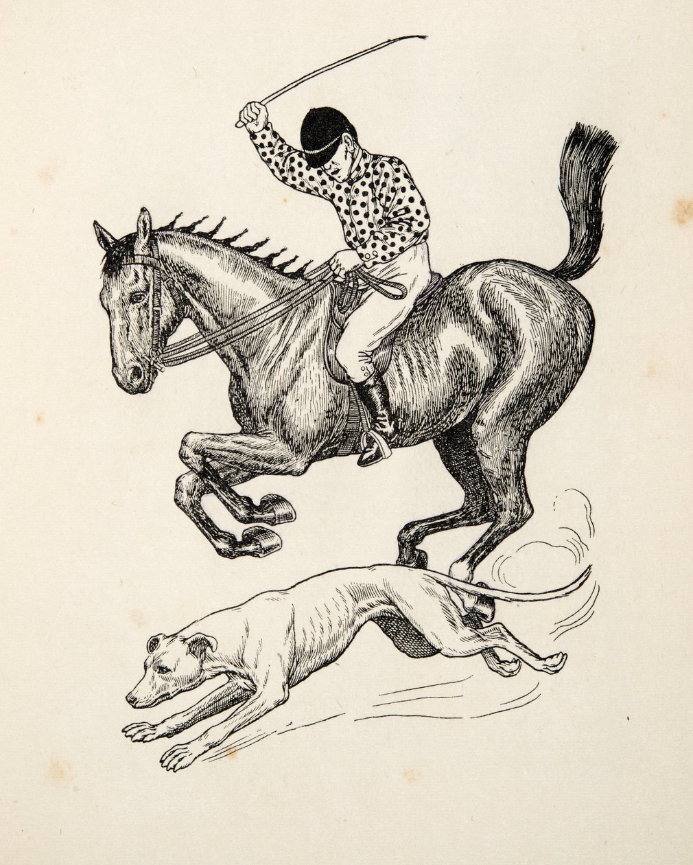 Le cheval et le lévrier, de Cent anecdotes d