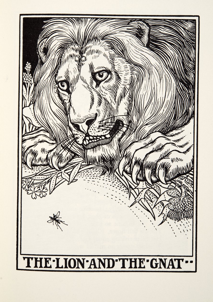 Le Lion et le Moucheron, des Fables de La Fontaine, pub. 1905 - Percy J. Billingshurst