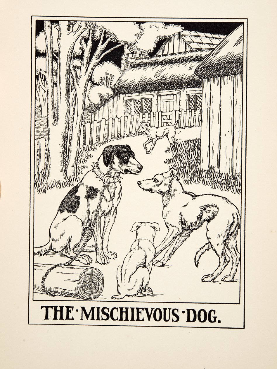 Le chien espiègle, de Cent fables d