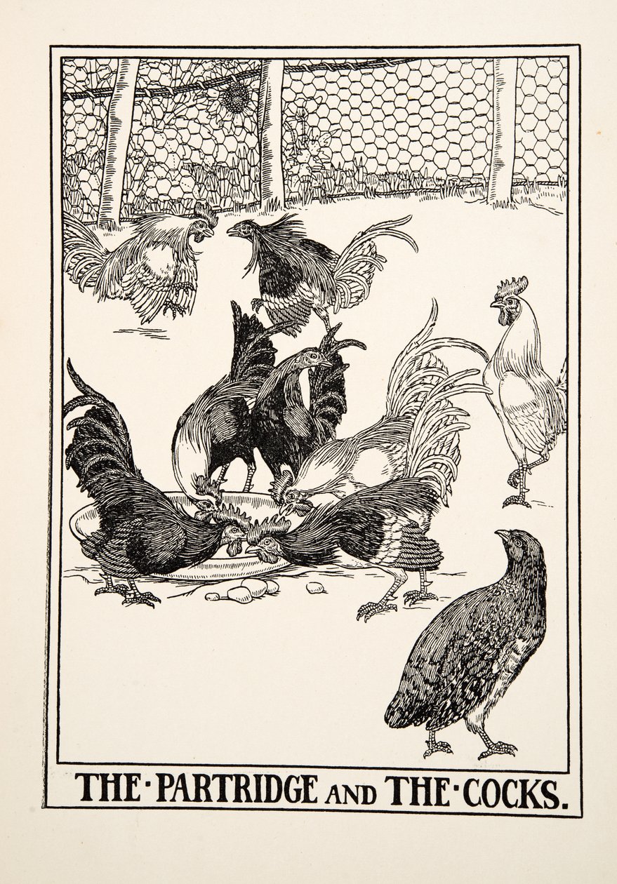 La Perdrix et les Coqs, de Cent Fables d