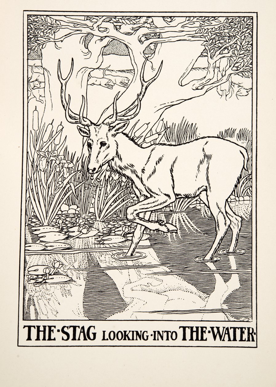 Le Cerf regardant dans l