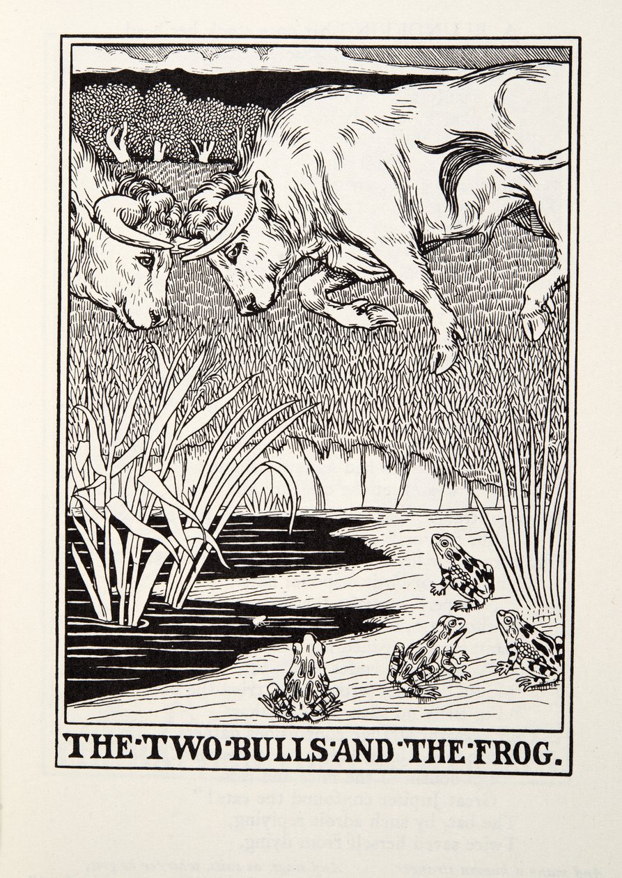 Les Deux Taureaux et la Grenouille, des Fables de La Fontaine, pub. 1905 - Percy J. Billingshurst