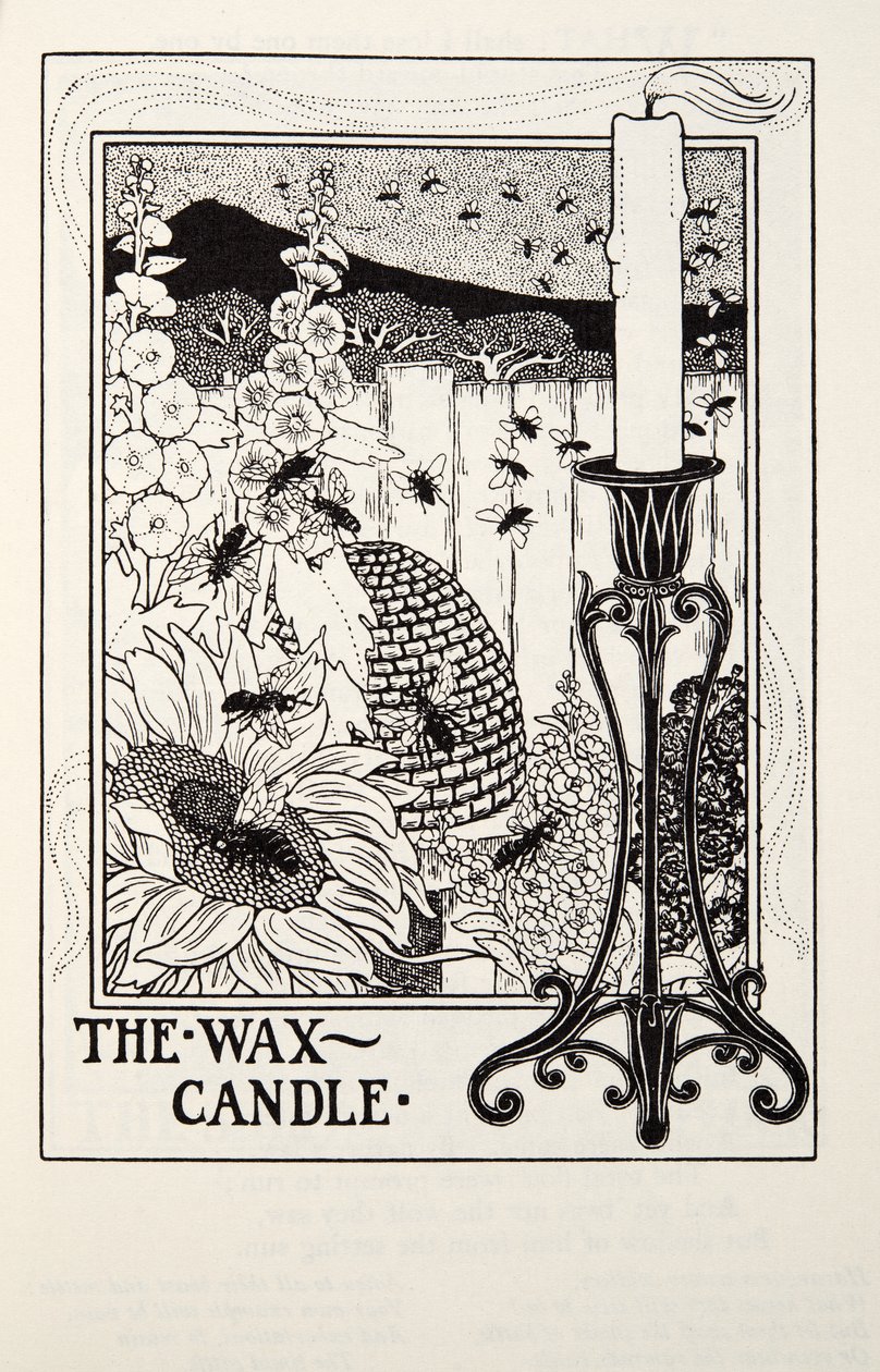 La Bougie, des Fables de La Fontaine, pub. 1905 - Percy J. Billingshurst