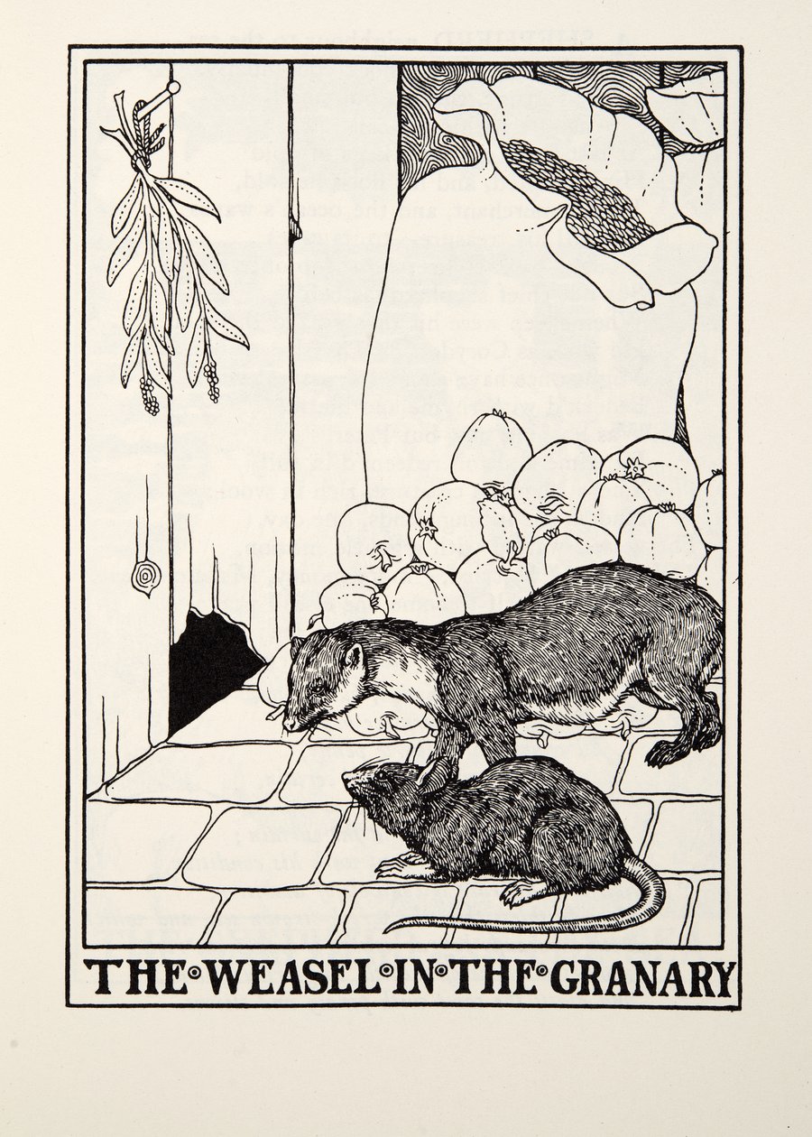 La Belette dans le grenier, des Fables de La Fontaine, pub. 1905 - Percy J. Billingshurst