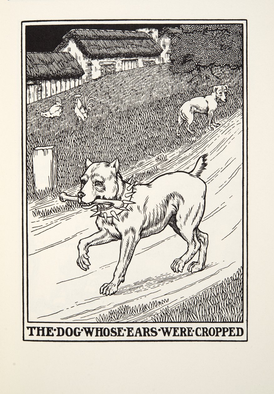 Le Chien aux Oreilles coupées, des Fables de Fontaine, pub. 1905 - Percy J. Billingshurst