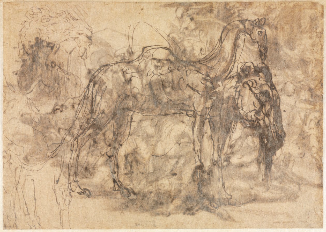 Croquis d