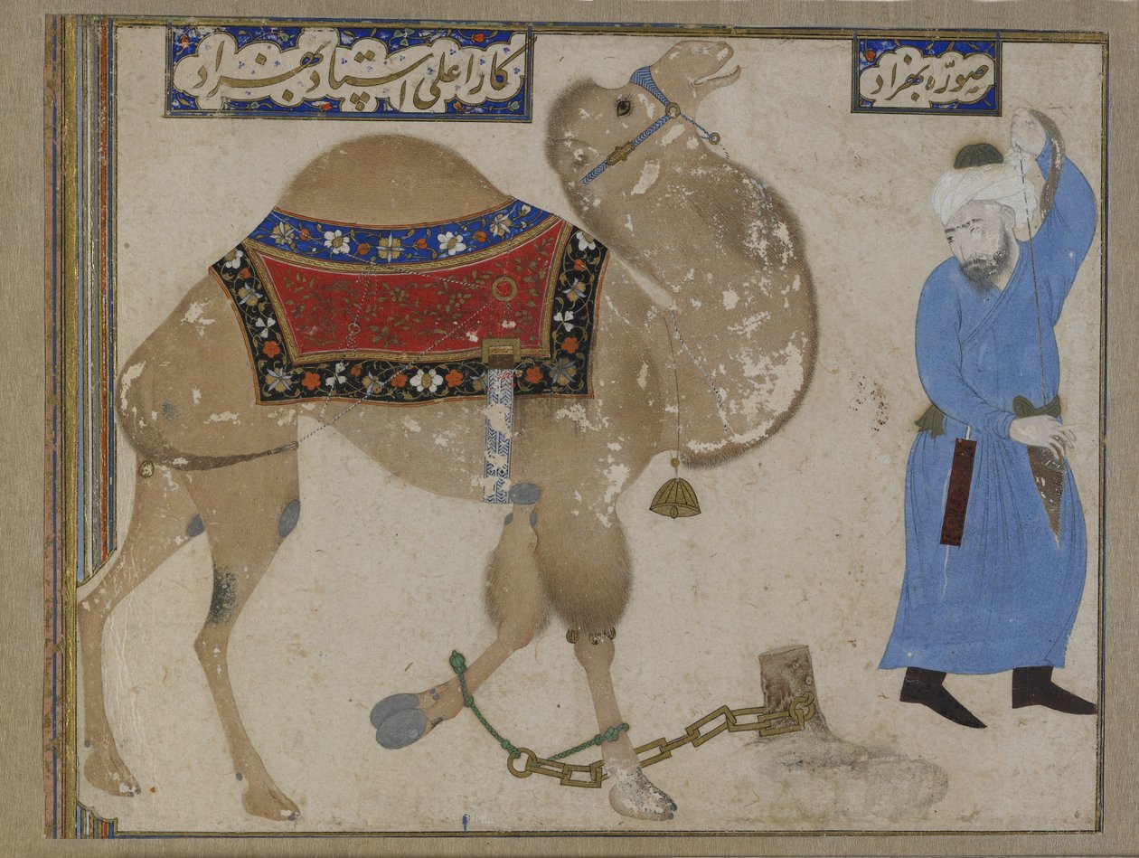 Chameau enchaîné et gardien, période safavide - Persian School