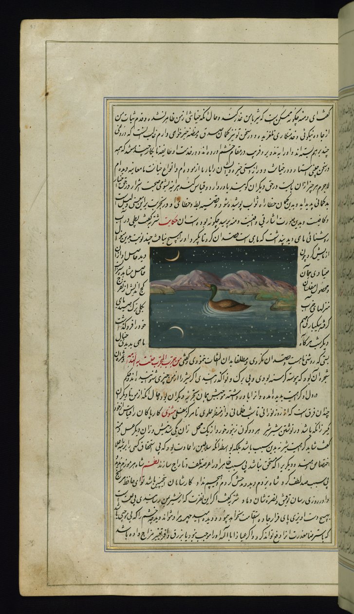 Une oie et le reflet de la lune dans l