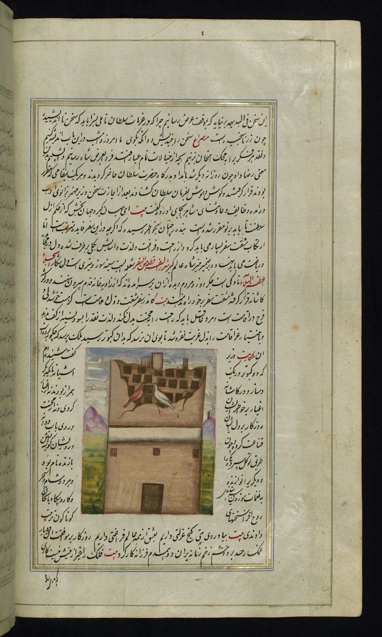 Deux pigeons, Bāzandah et Navāzandah des Lumières de Canopus - Persian School