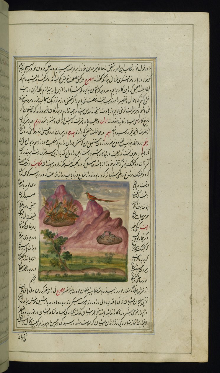 Deux moineaux en feu et un faucon des Lumières de Canopus - Persian School