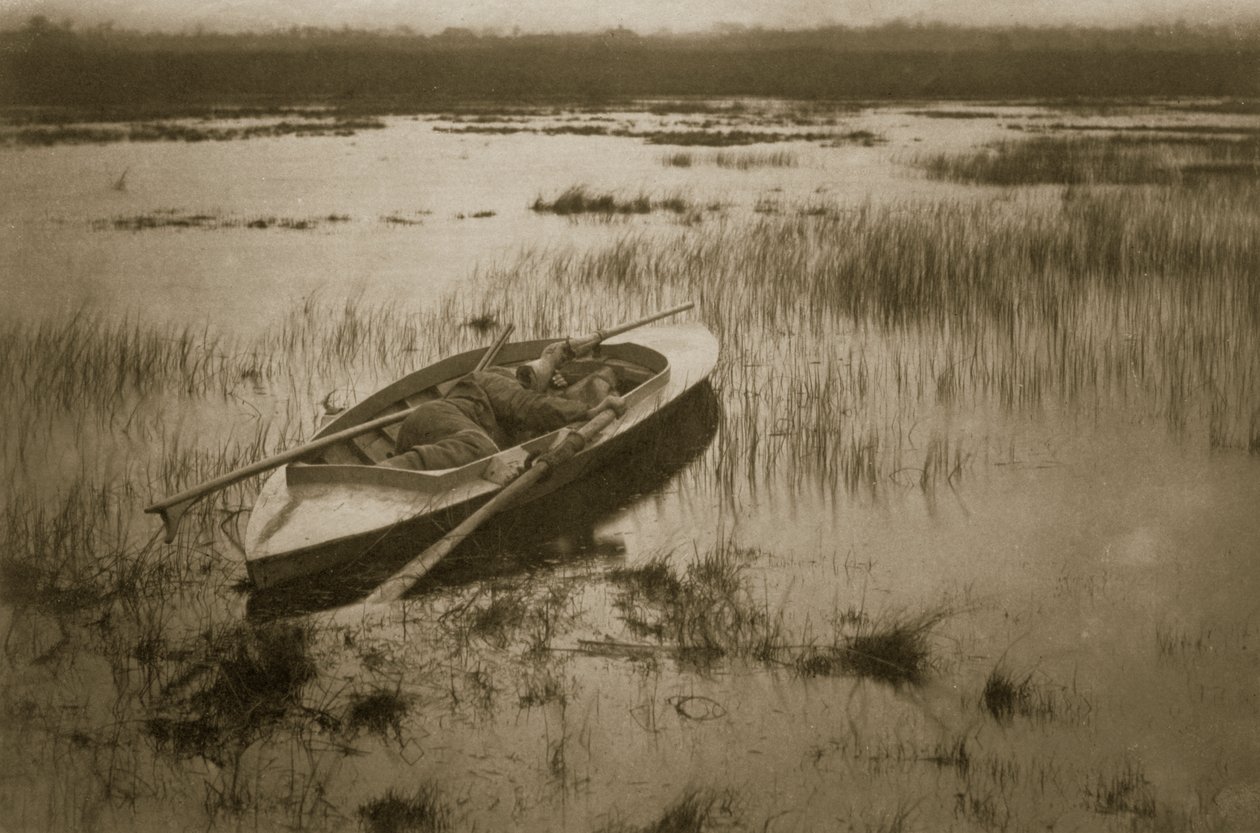 Gunner réveillant la volaille, Vie et paysage sur les Norfolk Broads, vers 1886 - Peter Emerson und Thomas Goodall