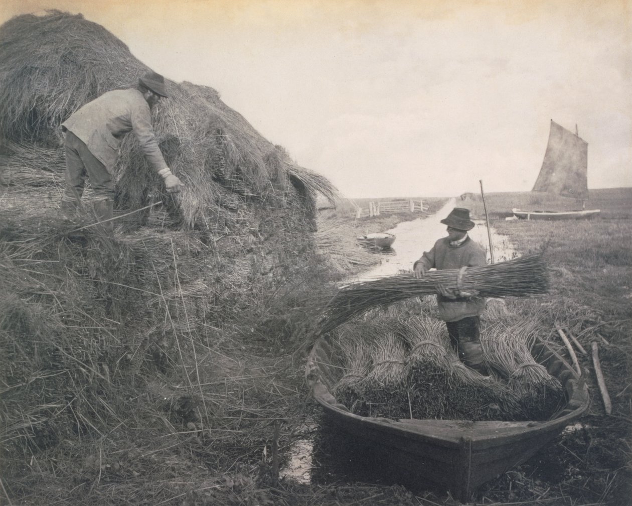 Ricking the Reed, Life and Landscape on the Norfolk Broads, c.1886