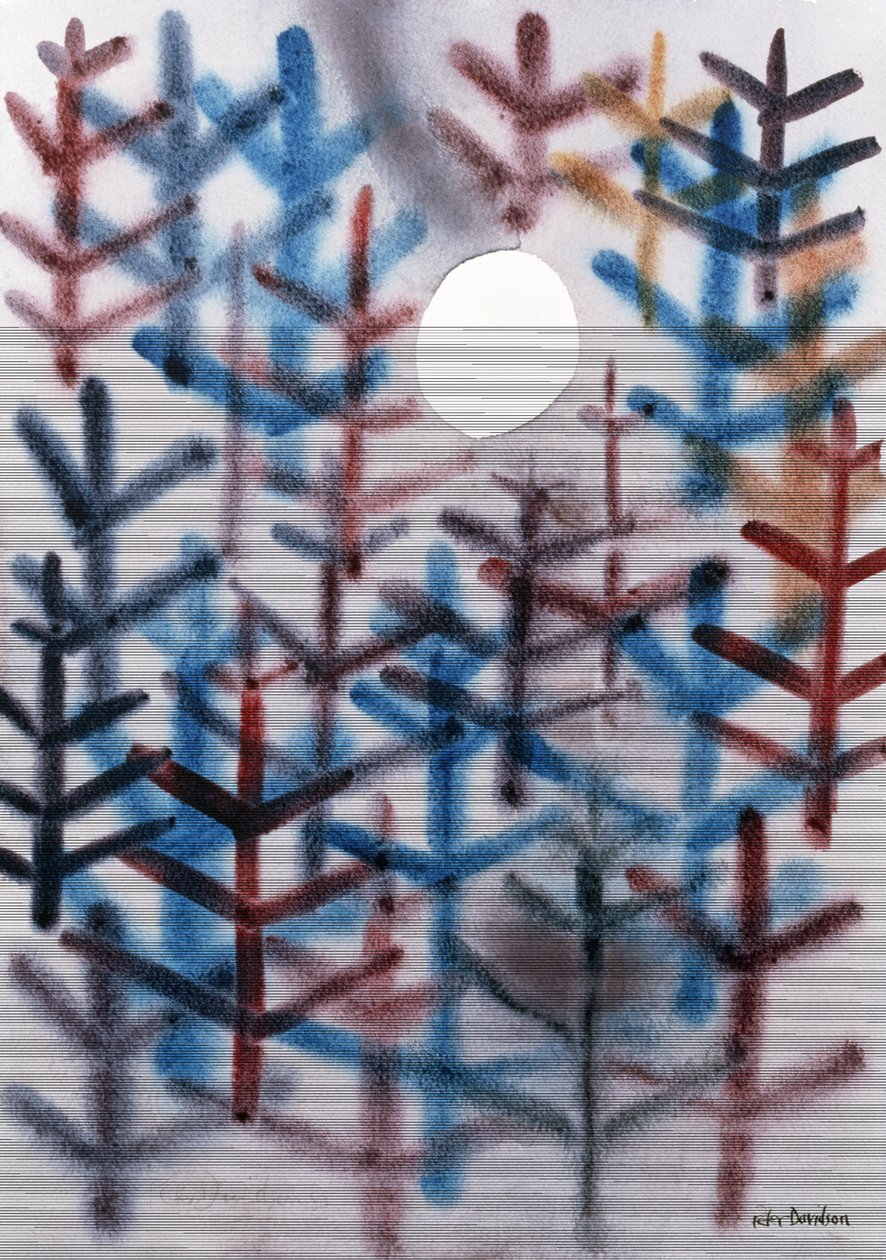 Paysage lunaire, 1988 - Peter Davidson