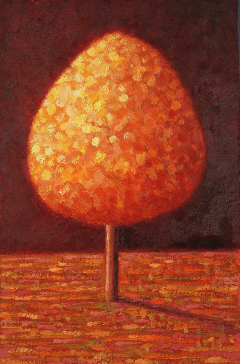 Arbre baigné de soleil, 1996 - Peter Davidson