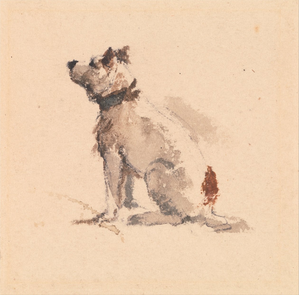 Un terrier, assis face à gauche - Peter de Wint