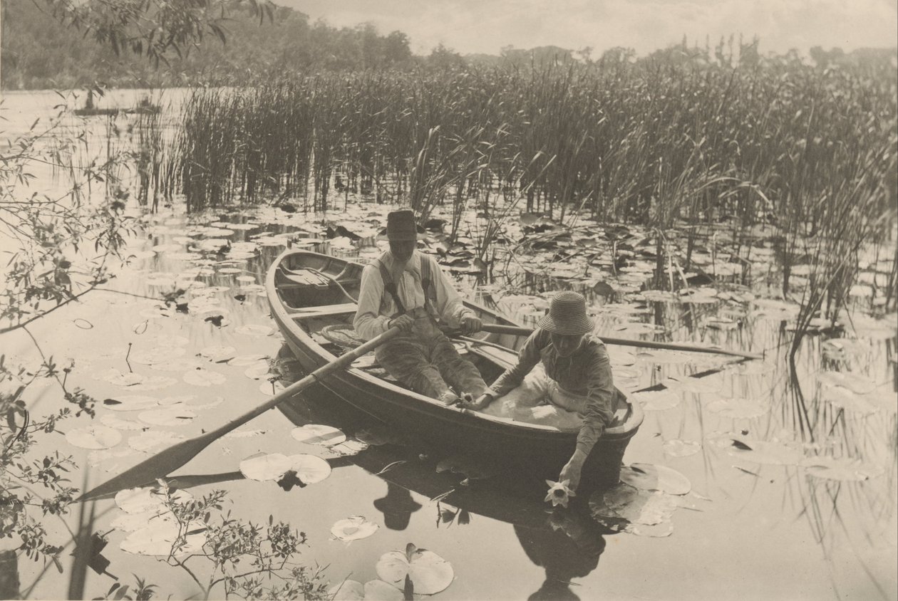 Récolte de nénuphars - Peter Henry Emerson