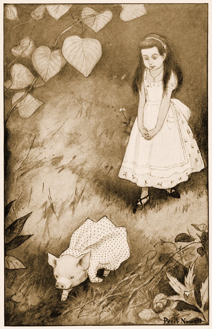 "Alors elle posa la petite créature", illustration pour Les Aventures d