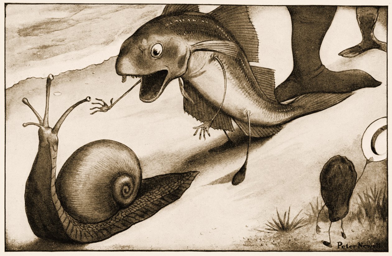 "Voulez-vous marcher un peu plus vite?" dit un Merlan à un Escargot, illustration pour Les Aventures d