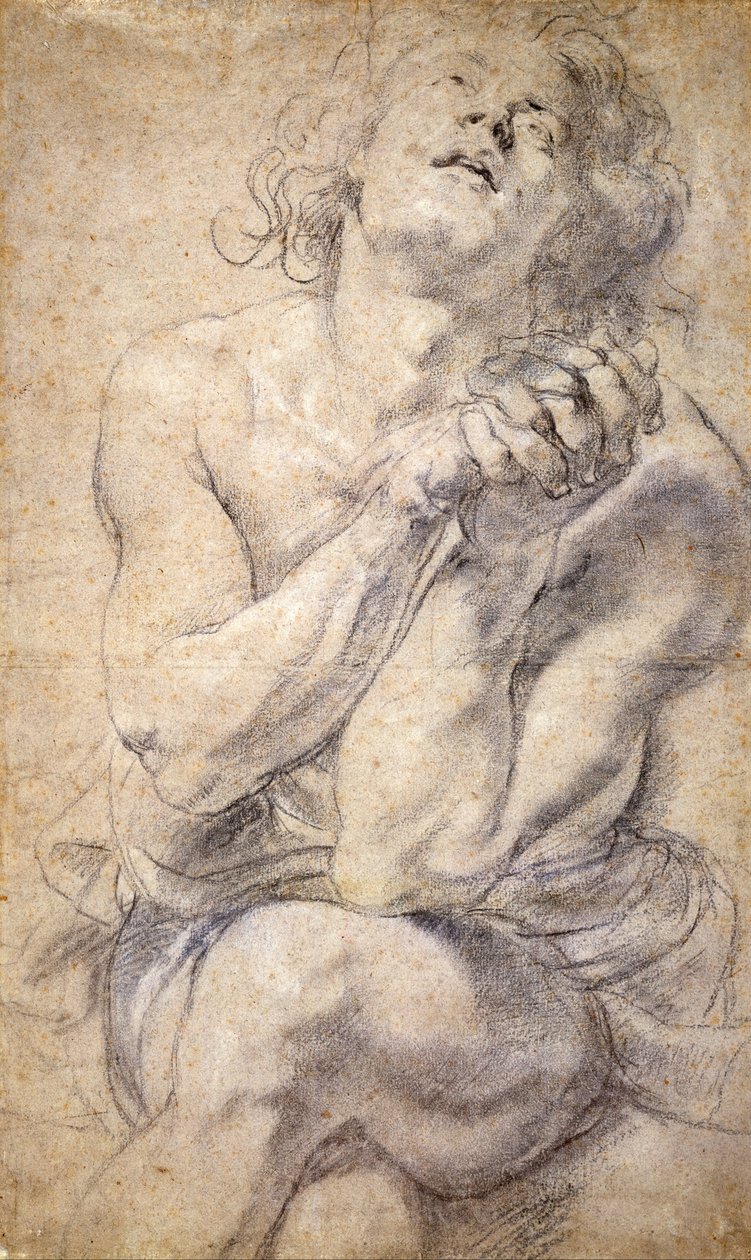 Jeune homme assis (étude pour Daniel) - Peter Paul Rubens