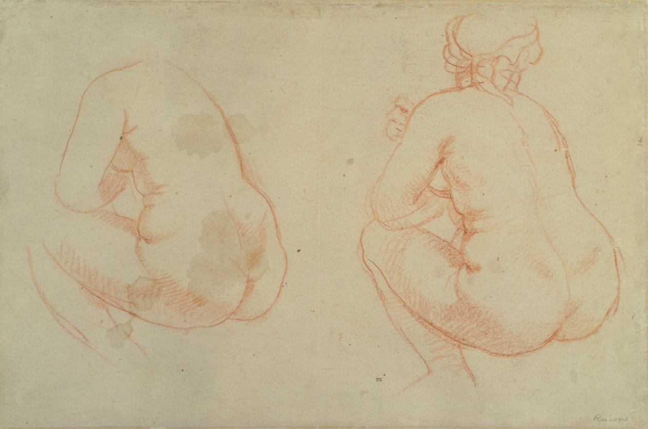 Études de nus féminins - Peter Paul Rubens