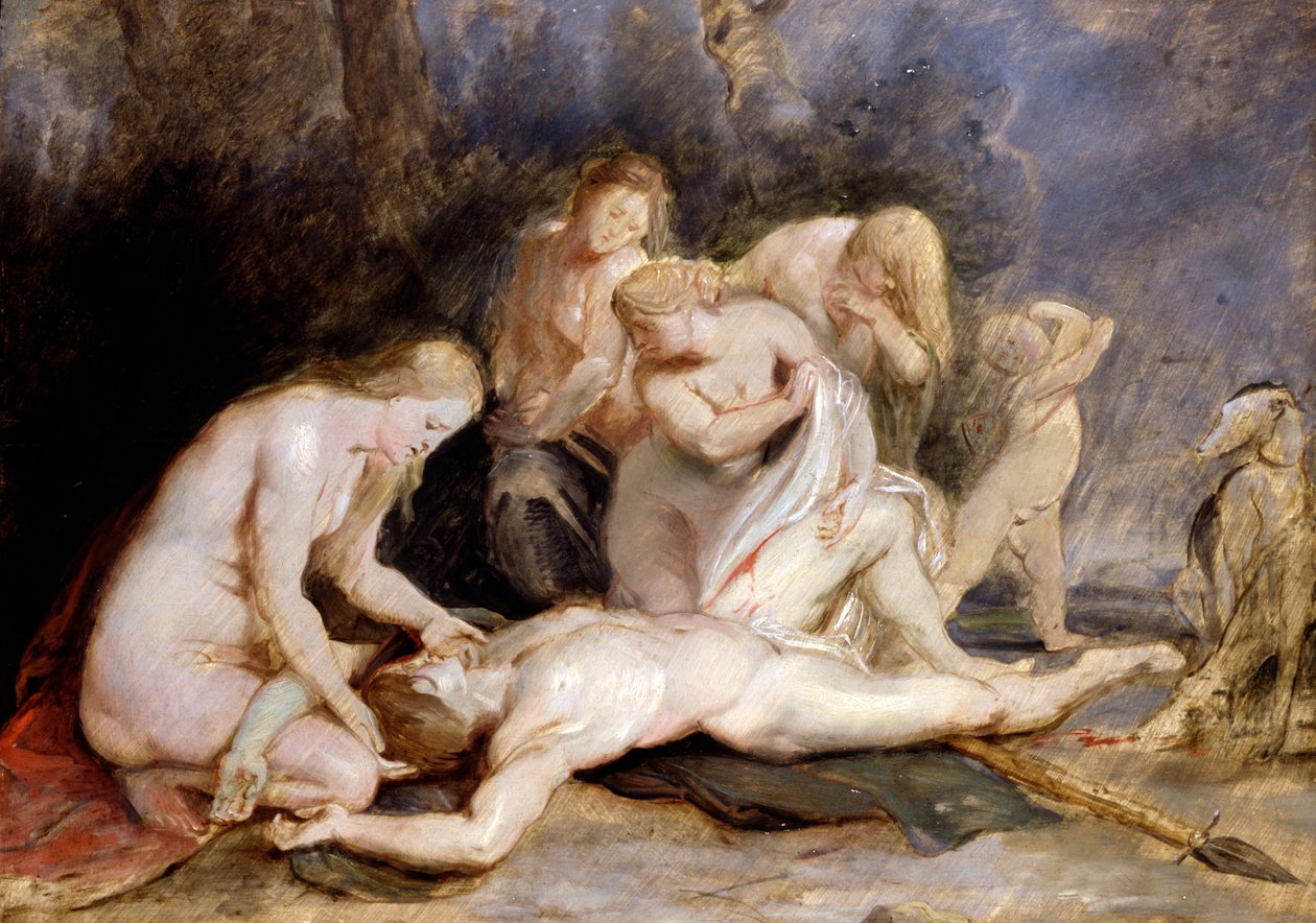 Vénus pleurant Adonis - Peter Paul Rubens
