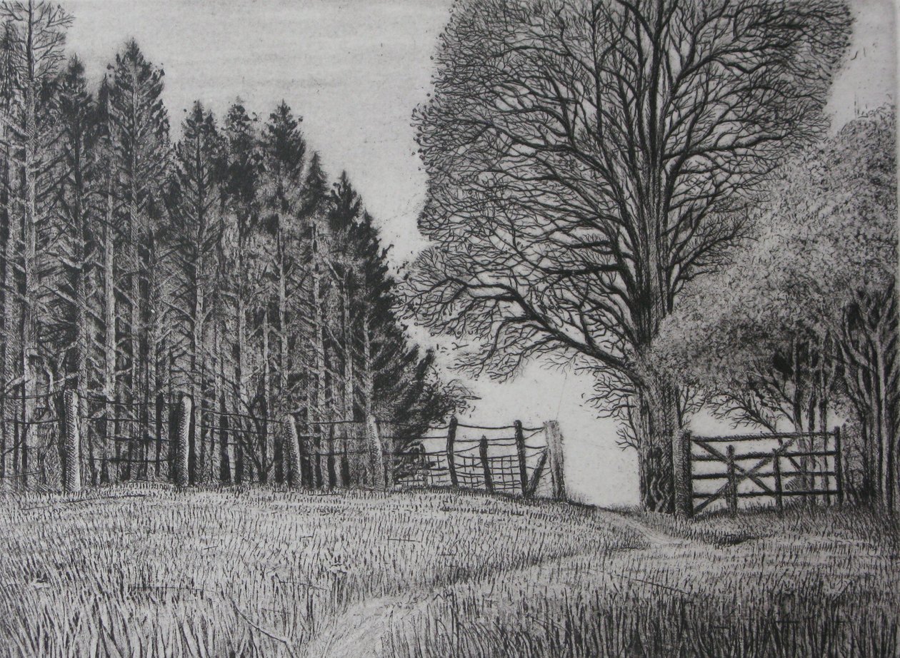 Le sentier de la forêt - Printemps - Peter A Ford