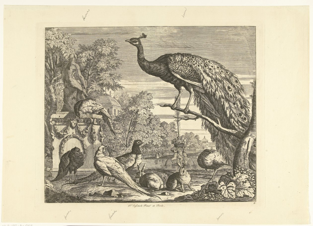 Paon, lapins et autres oiseaux près d