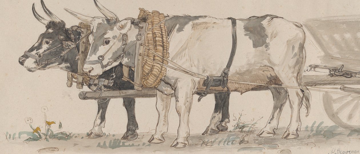 Deux bœufs tirant une charrette - Peter Christian Thamsen Skovgaard