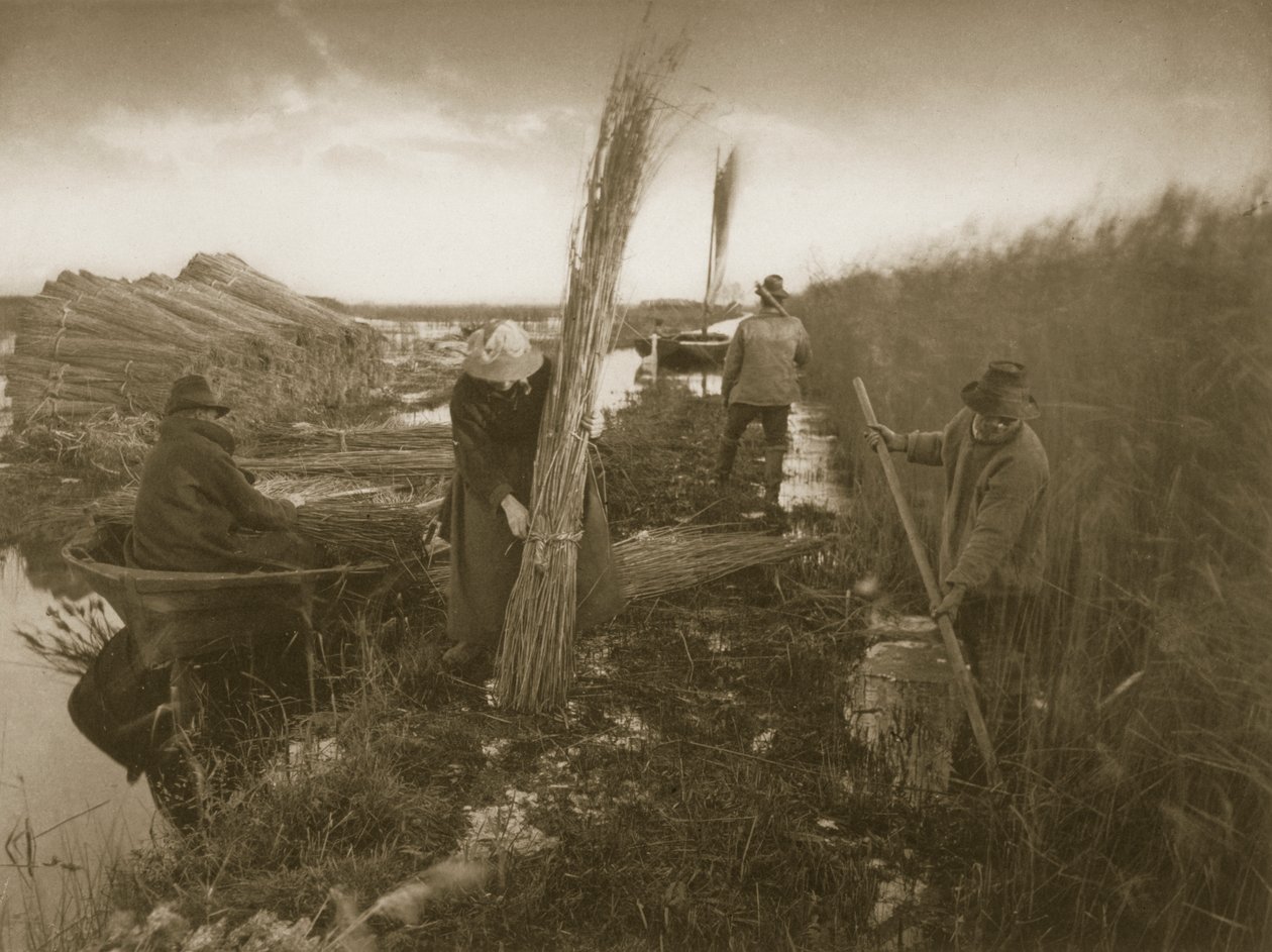 Pendant la récolte des roseaux, Vie et paysage sur les Norfolk Broads, vers 1886 - Peter Emerson und Thomas Goodall
