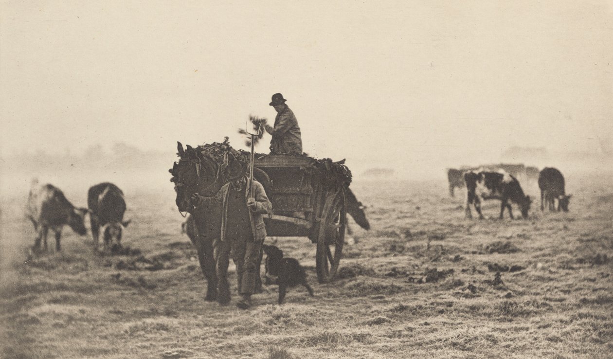 Un Matin Glacial, 1890-1891, imprimé en 1893 - Peter Henry Emerson