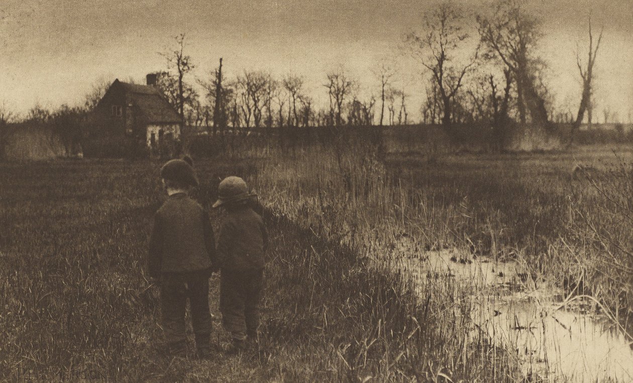 Un crapaud sur le chemin: début du printemps dans le Norfolk - Peter Henry Emerson